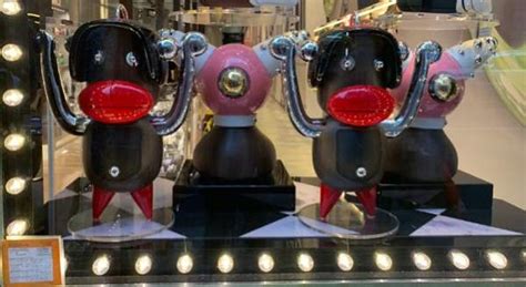 prada otto toto|Did a Prada Store Remove Products Resembling .